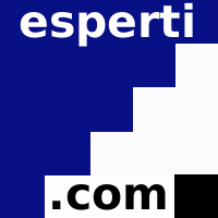 esperti.com nasce nel 1996 come studio professionale distribuito, parte di una rete di imprese, dedicato all'erogazione di servizi IT, fondato esclusivamente da professionisti informatici, attivi su tutto il territorio nazionale